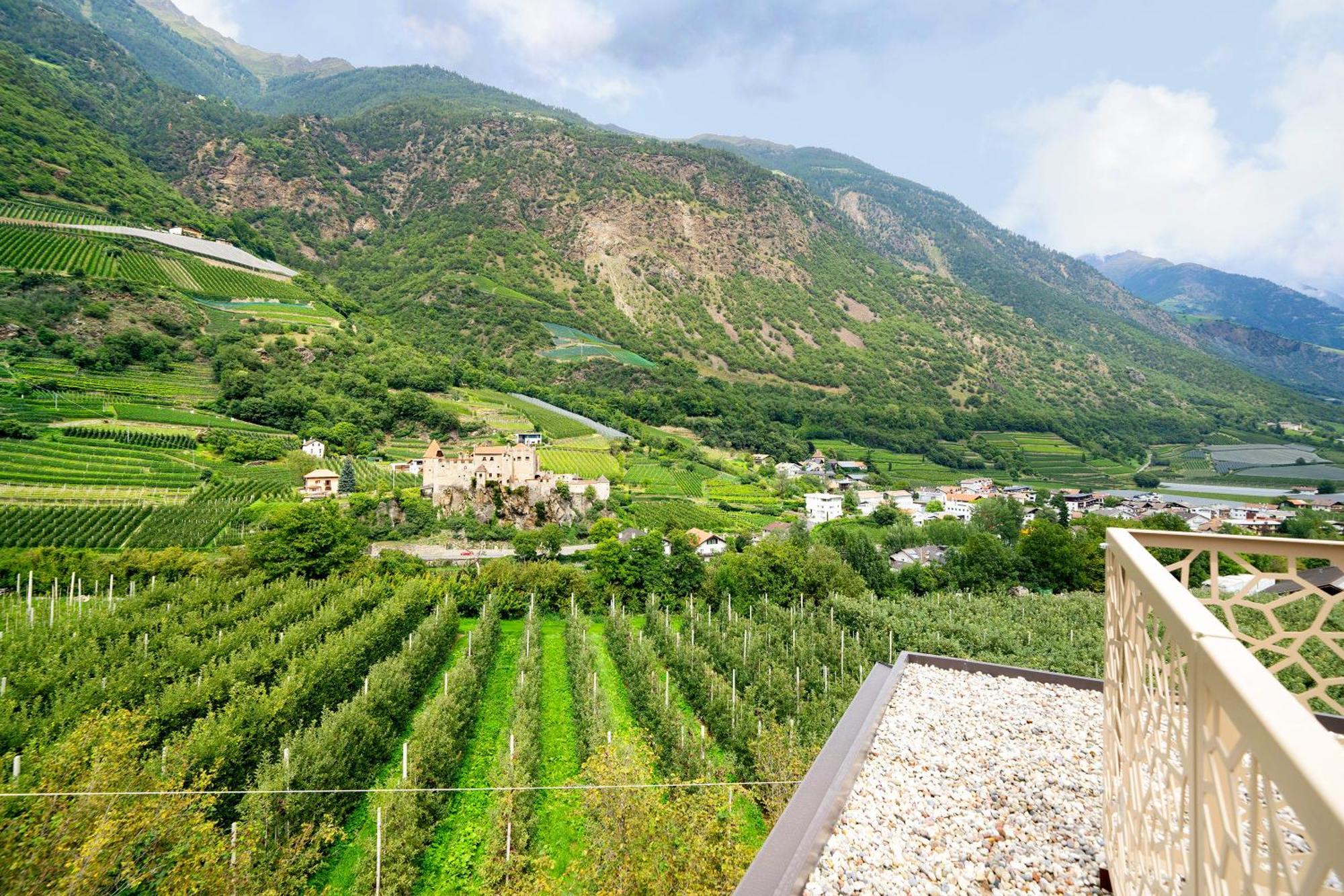 Boutique Hotel Amaril 카스텔벨로 외부 사진