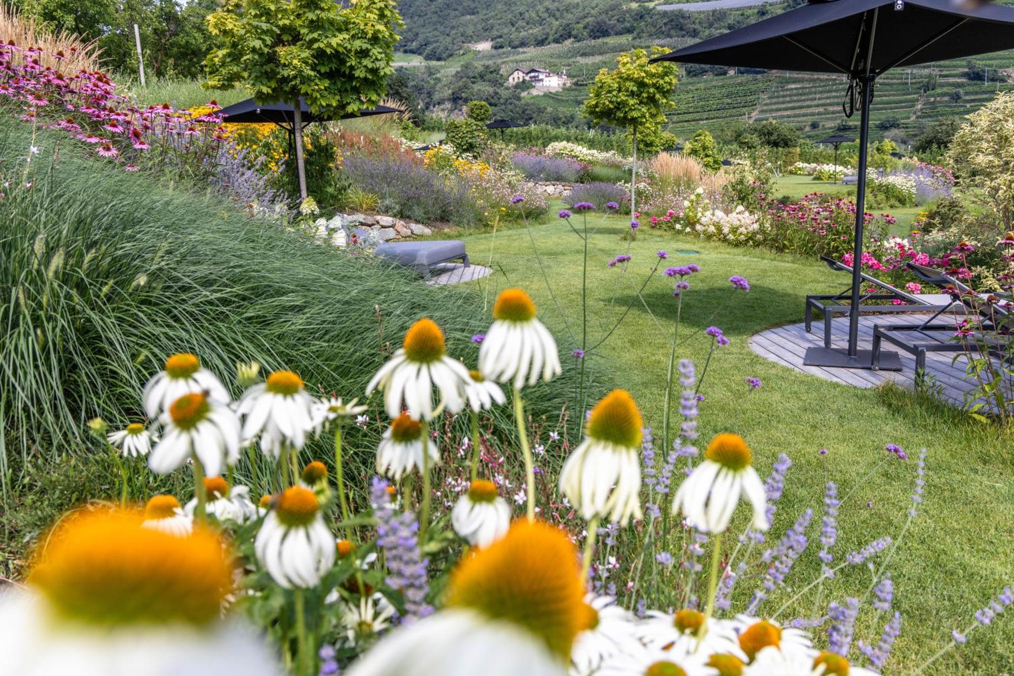 Boutique Hotel Amaril 카스텔벨로 외부 사진